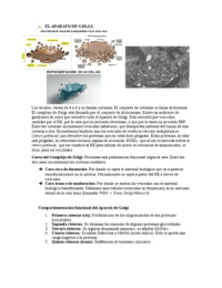 Latest Preview Thumbnail