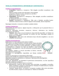 Latest Preview Thumbnail