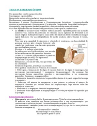 Latest Preview Thumbnail