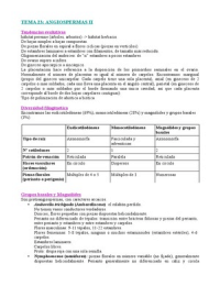 Latest Preview Thumbnail