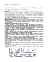 Latest Preview Thumbnail