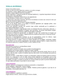 Latest Preview Thumbnail