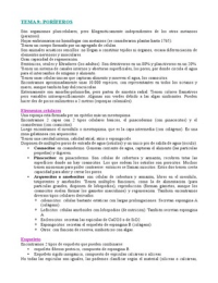 Latest Preview Thumbnail