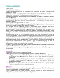 Latest Preview Thumbnail