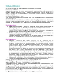 Latest Preview Thumbnail