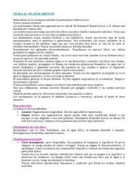 Latest Preview Thumbnail