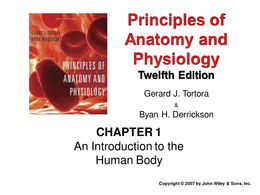 Latest Preview Thumbnail