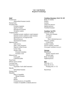 Axial Skeleton Terms