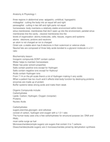 Latest Preview Thumbnail