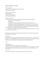 Latest Preview Thumbnail