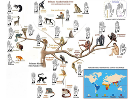 Sian Evans - Material TEST 1