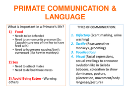 Sian Evans - Material TEST 2   Final
