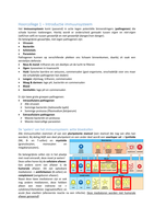 Latest Preview Thumbnail