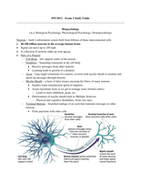 PSY2012 &ndash; Exam 2 Study Guide