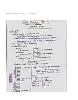 Latest Preview Thumbnail