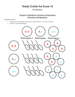 Study Guide Exam &num;2