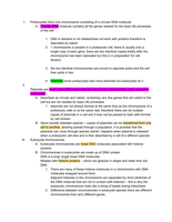 Genetics - DNA&comma; Chromosomes