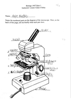 Latest Preview Thumbnail