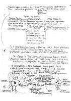 Latest Preview Thumbnail