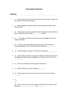 Visual System Worksheet