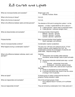 2&period;3 carbohydrates and lipis