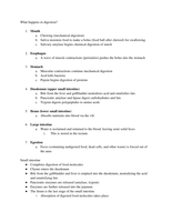Digestion notes