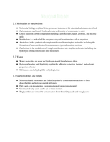 2 molecular biology study guide 
