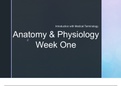 Anatomy &plus; Physiology Week 1 Powerpoints