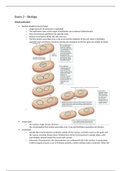3rd Biology Exam Study Guide -- Mitosis&sol;Meiosis&sol;Regulation&sol;DNA