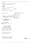 DNA&sol;RNA&sol;Nucleotides