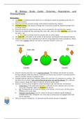 IB Biology Enzymes&comma; Cellular Respiration&comma; and Photosynthesis