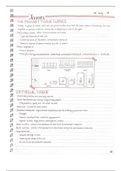 document-image