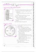 document-image