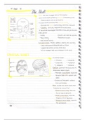 document-image