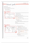 document-image