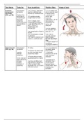 document-image