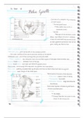 document-image