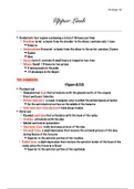 document-image