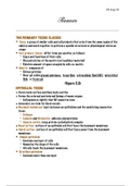 document-image