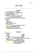 document-image