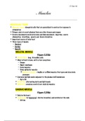 document-image