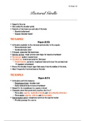 document-image