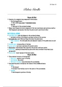 document-image