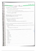 document-image