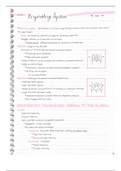 document-image