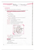 document-image