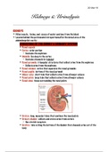 document-image