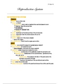 document-image