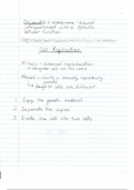 document-image