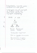 document-image